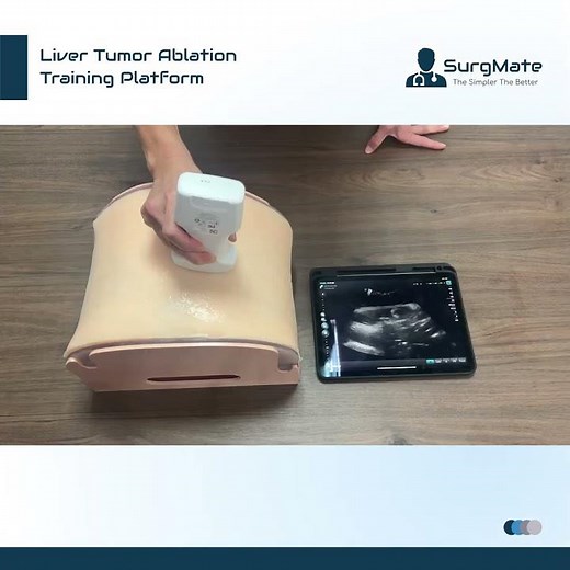 SurgMate's Liver Tumor Ablation Training Platform Overview