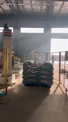 Automatic Feed Bag Palletizing Robot | Fast & Reliable Palletizer System #roboticpalletizer