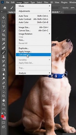 Hướng dẫn chuyển ảnh màu thành ảnh đen trắng trong photoshop