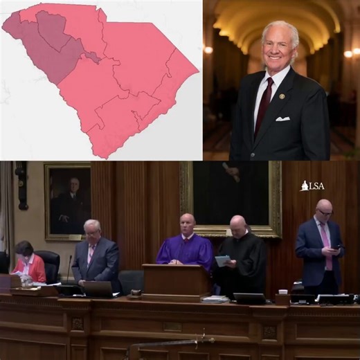 🚨 JUST IN: South Carolina Gov. Henry McMaster has called a SPECIAL SESSION to CIRCUMVENT RINO obstruction and finally pass the 7R-0D 2026 Congressional mapLET'S GO! Defeat the RINOs and get this done 👏🏻A Special Session means mere simple majorities are required to get it done.Full steam ahead!MCMASTER: "I have issued an Executive Order calling the General Assembly back for an extra legislative session to address the state budget and congressional districts beginning Friday, May 15, at 11:00 A