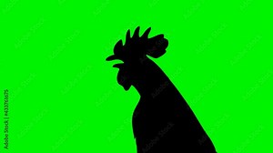 Head of Black Shaped Rooster Singing Head of Singing Rooster 2D cartoon animated rooster singing.Includes green screen/alpha matte.Seamless loop.