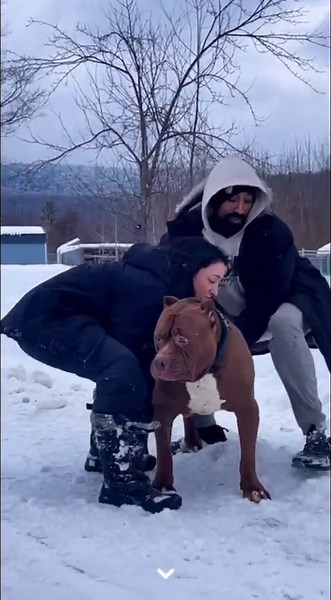 Big Dog Owners Meet Little Dog Owners—The Fun Begins