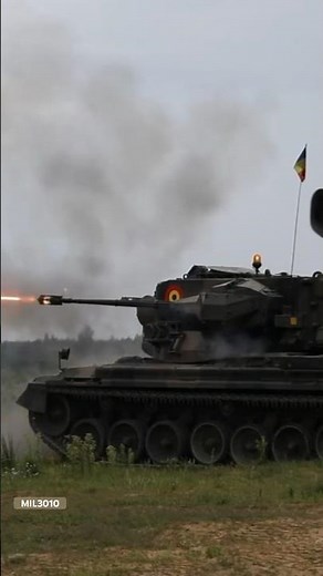 Romanian Army, NATO. «Gepard» anti-aircraft artillery tank.