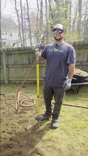 Your tree looks stressed. The problem might be underground. 🌱