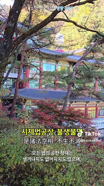 몸과 마음을 편안하게_ 반야심경 한문 훈, 음, 한글해석 #korean #koreantravel #koreatrip #koreantours #today #buddha #park #koreantemple #korea #foryoupage #today #travel #trip #fyp #foryou #관음성지 #반야심경 #관세음보살 #힐링 #오늘 #사찰 #절 #천년고찰 #여행 #인연 #건강아미타불 #소원 # #단풍 #부처 #불교 #산 #소원 #동굴 #드론 #자연 #등산 #대웅전 #염불 #친견 #소원 #명상 #산사 #스님 #길 #nammoadidaphat #niemphat #phatphap #tinhdo #buddha #buddhist # #viral #tiktok #luctudida #佛 #way #road #마음 #snow #mountain #반야심경 # thanks #tiktok