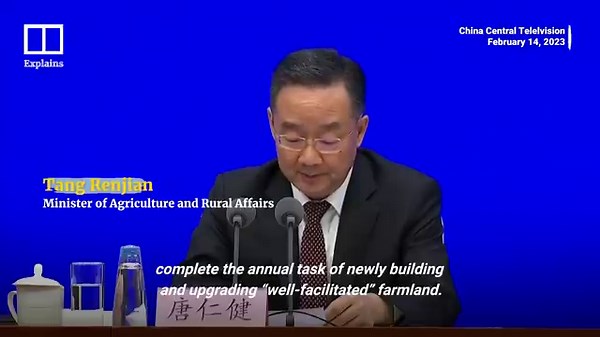 Chinese scientists create plant gene-editing tool ‘even school students and old farmers can master’