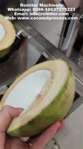 Máquina automática para dividir y cortar cocos por la mitad a la venta