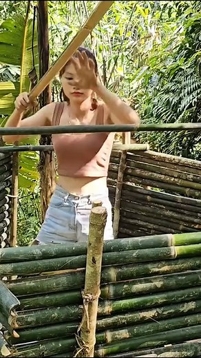 Creating a shelter from the forest wood, enjoying the sounds of nature #bushcraft #relax #intherain #streamfighters | Thomas Samantha