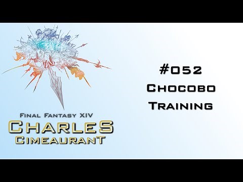 #052 FFXIV - Chocobo Training