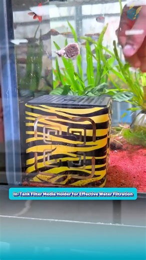 Aquarium Filter Media Box Placed Directly in the Tank for Water Cleaning