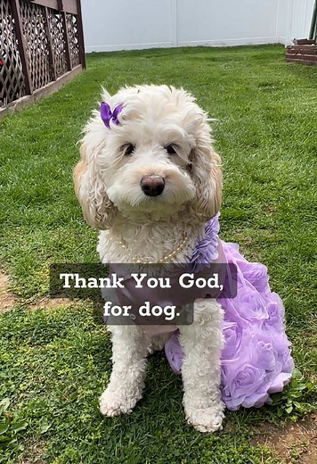 Chambray Blue on TikTok