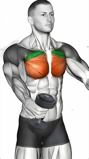7 Best Upper Chest Workouts | Build a Bigger, Stronger Chest Fast With These Powerful Dumbbell and Barbell Exercises. #fitnesstips #upperchestworkout #chestworkout #howtotrainbicepsandtriceps LiftLegend Gym | LiftLegend Gym