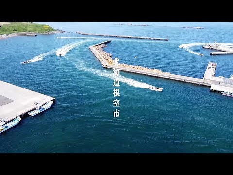 この夏、昆布漁の全てをお見せします！