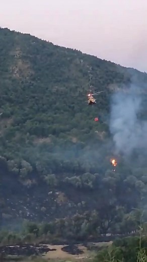 الجزائر 💔 #درجة_الحرارة #الجزائر #algeria #algérie