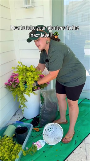 Take Your Planters to the Next Level