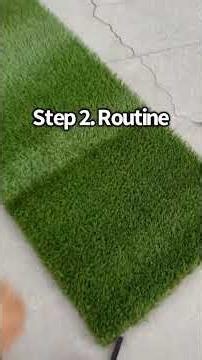 Puppy Potty Training 101 🐶🚽 STEP 1: STRUCTURE - Give your pup a clear setup — a designated potty