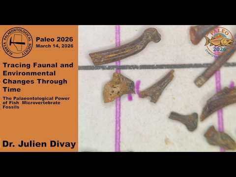 Tracing Faunal and Environmental Changes Through Time: The Power of Fish Microvertebrate Fossils