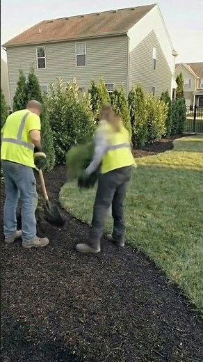 Your Yard AI is the best app for yard design. #gardening#gardendesign #landscape #lawn #viralshorts
