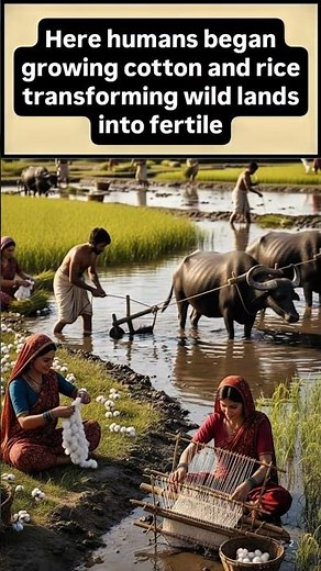 How the Indus Valley Civilization Revolutionized Agriculture