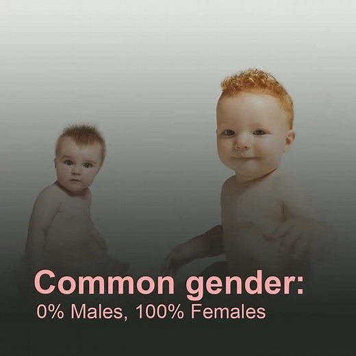 Amanda Baby Name Meaning, Origin and Popularity, by SleeplessParent.com