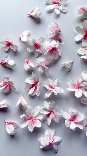 1.2M views · 14K reactions | DIY Room Decor Idea #handmade #papercraft #flowers #fbreelsfypシ゚ #decor #giftideas #fypシ | Blta.BiShaba | Facebook