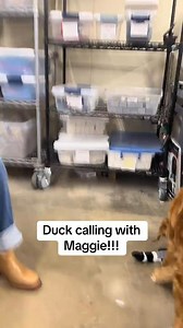 Power Calls Ignition | Maggie Williams