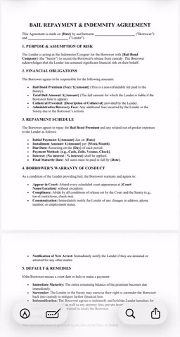 Bail Repayment & Indemnity Agreement Template (digital Download) - Etsy