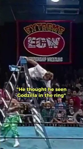 Sandman tripping balls during match #ecw #sabu #sandman #thesandman #wwf #wcw #90s #90swrestling