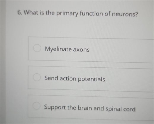 What is the primary function of neurons?  Myelinate axons Send ... | Filo