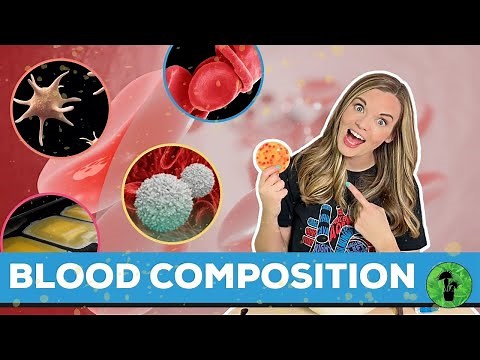 Blood Components | Red & White Blood Cells, Platelets, Plasma