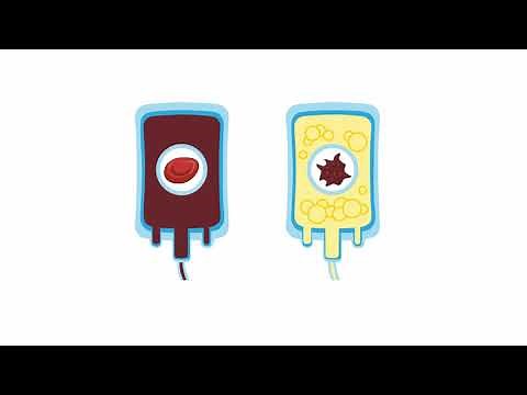 Acute Transfusion Reactions: Management Techniques