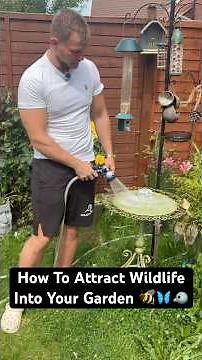 How To Attract Wildlife Into Your Garden 🐝🦋🐦