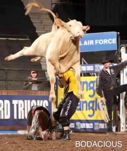 #rodeo #cowboy | Rodeo Cowboy Hall of Fame