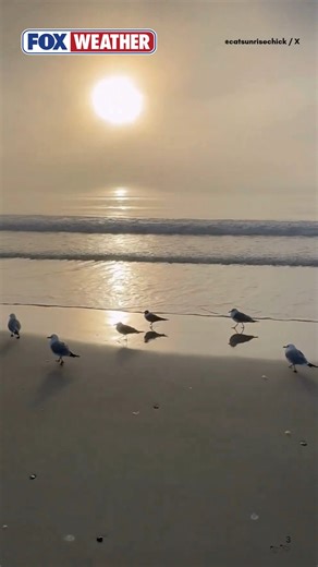 HELLO, SPRING🌷: While parts of the country brace for more snow, Surfside Beach, South Carolina, is enjoying a beautiful morning to kick off the first day of meteorological spring! #spring #SouthCarolina #surfsidebeach #FoxWeather #sunrise | FOX Weather