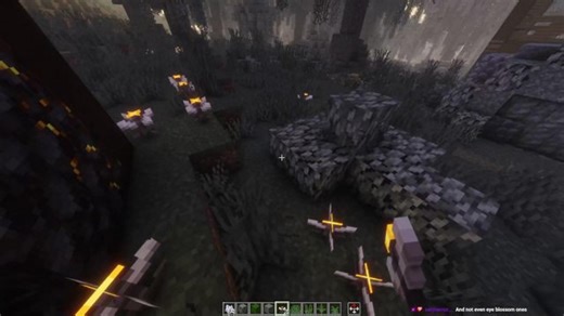 All the plants in Extraction