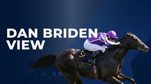 Dan Briden Two-Year-Old Guide: The Autumn Group Ones