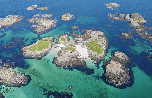 Seal & Lagoon Tour - Basking Shark Scotland