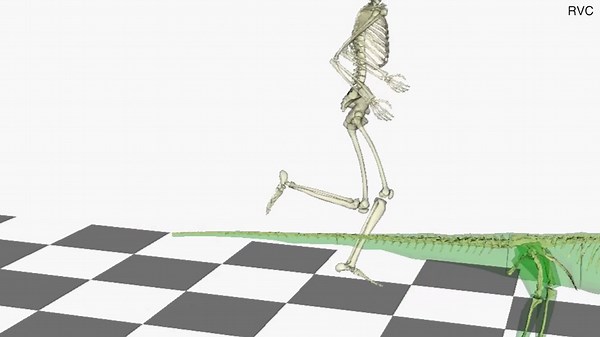 Studies are revealing to us how T.Rex and other dinos ran