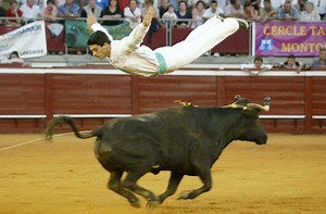 Vidéo. Course landaise : l'exploit de Nicolas Vergonzeanne, « l’ange landais », en mars 2012