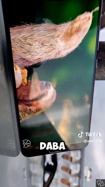 Huawei P20 Pro Camera and Photos in 2024