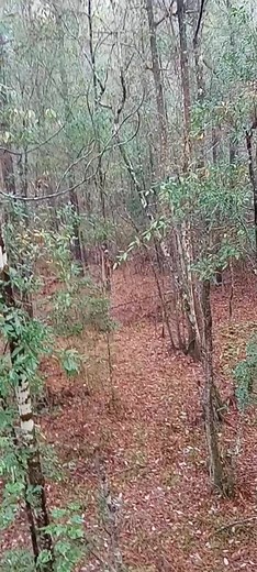 3.6K views · 25 reactions | Lil spike didn't have a clue that death itself was at the door and chose not to partake!  Maybe he'll be stud one day for someone to harvest. | Kendell Smith | Facebook