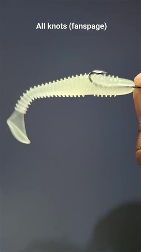 How to Rig Double Hooks on Soft Lure for Maximum Hook-Up Power! 🔖 #FishingTips #SoftLureSetup #DoubleHookRig #AnglingSkills #CatchMoreFish | All knots