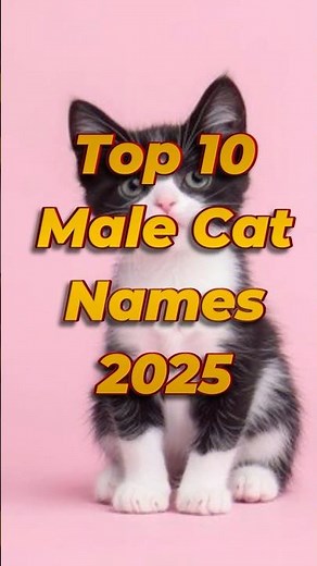 Top 10 Male Cat Names 2025 🐱🔥 | Best Cat Names for Boys! #shorts #catnames #petnames #namaste