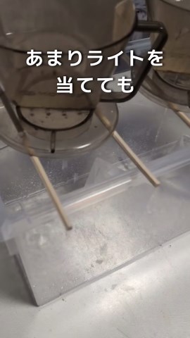 ミョウバンの結晶作成法と自由研究のアイデア