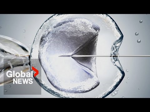 The cost of IVF in Canada is rising: what that means for couples trying to have a child