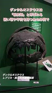 【国立科学博物館】特別展「大絶滅展」ビッグファイブ・ウィーク第２弾！🌋ダンクルオステウス🌎