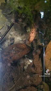 2.3K views · 481 reactions | On my date-hike last Saturday, I came...