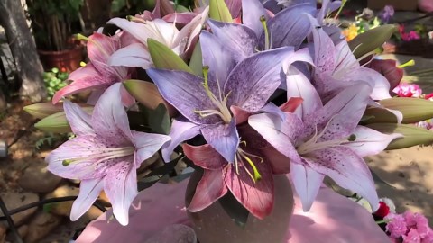IPOPU Blue Artificial Lily Flowers 5PCS Vintage Lily Silk Flowers for Home Decor Indoor Faux Blue Flowers Fake Lily Fake Flowers Floral Arrangement Wedding Party Decor