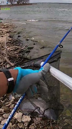 🐟Huge Blue Catfishes Catch on Live Shad Cut Bait at Grapevine Lake! 🐟 Dallas Texas Fishing Action 🔥