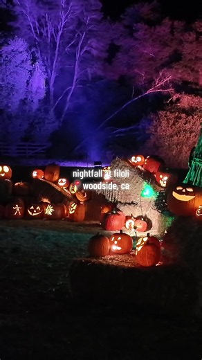 Nightfall at Filoli: Bay Area's Spooky Estate Event 🦇